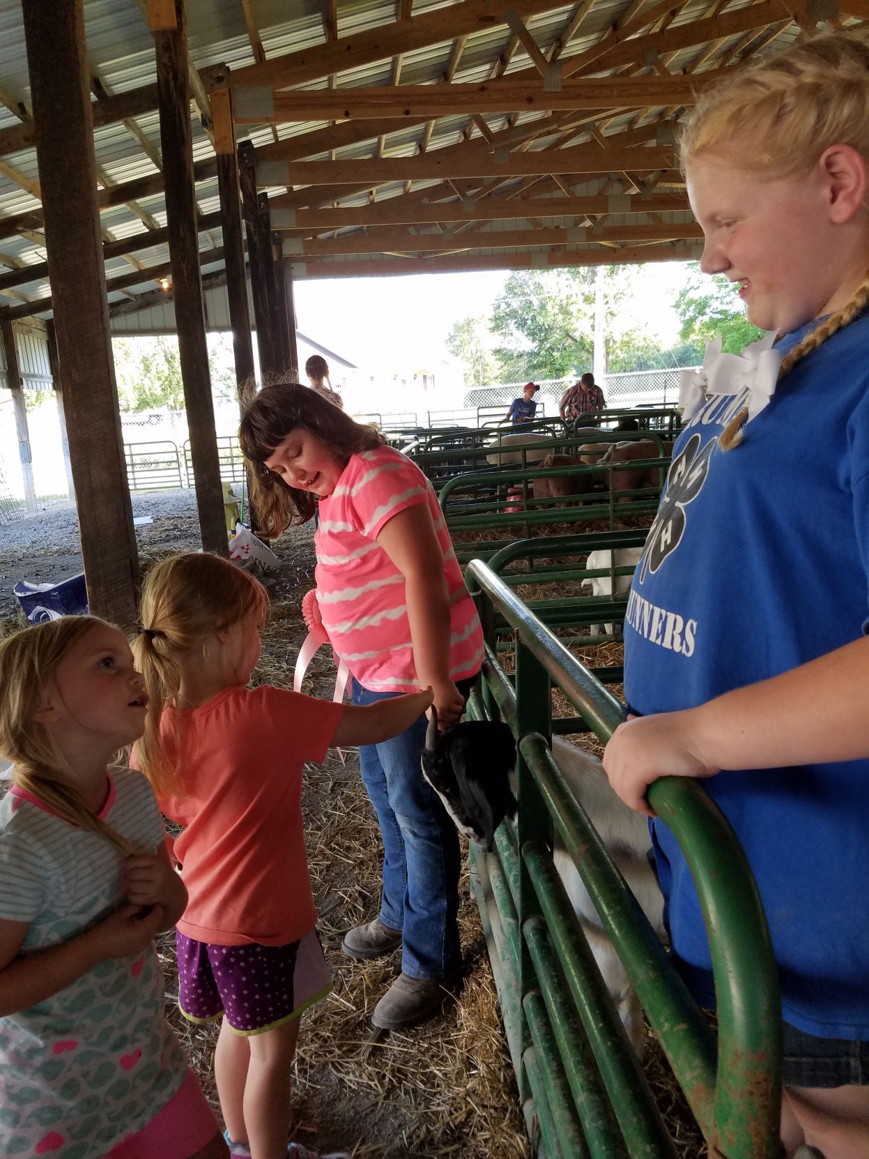 Perry Co. Fair